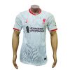 Liverpool 2024/25 Away kit Players Version