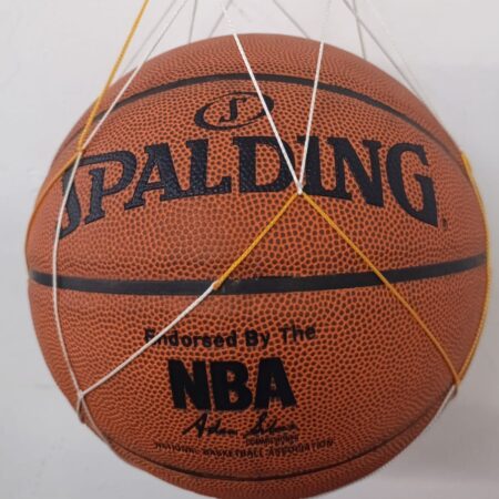 Spalding NBA Authentic Series Basketball